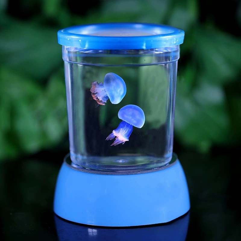 Медуза живет в студенческом общежитии для детей и детей, редких домашних животных с красной луной, ленивых домашних животных