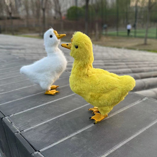�����Zģ�ͼ��ݹ�ˇƷ�[����ͯ���Y���H�ӻ��ӵ��߿ɐ����