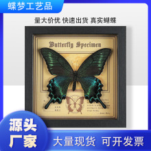 ������˱���� �b����w�[���ֹ�diy���նY��������x�˱�