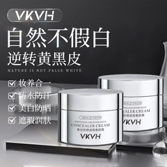 VKVH兰皙素颜霜美白防晒遮瑕素颜霜三合一自然提亮水润升级版代发