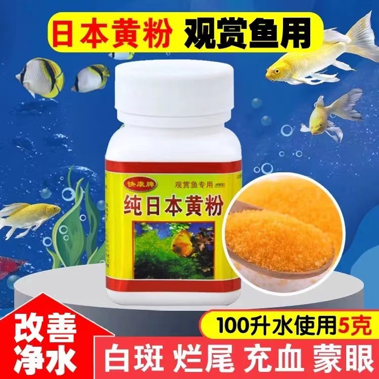日本黄粉观赏鱼水族黄粉白点白毛水霉锦鲤热带鱼冷水乌龟通用