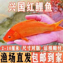 �t���~�絭ˮ�Bֳʳ�ô��d���t���~��ݽ��~�[�ؔ��^�p�~����С�~