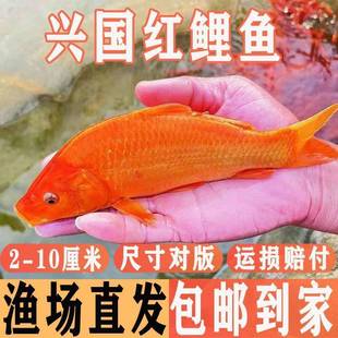 �t���~�絭ˮ�Bֳʳ�ô��d���t���~��ݽ��~�[�ؔ��^�p�~����С�~