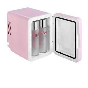 D2F Beauty Car Refrigerator Car Makeup Mirror Mini Refrigerator for One Person Home Car Small Refrigerator