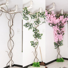 ������ٗl��ɽ���b����滨�ٻ����ڵ�����������٘�֦�ݘ���