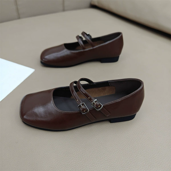 Brown 1 668-10