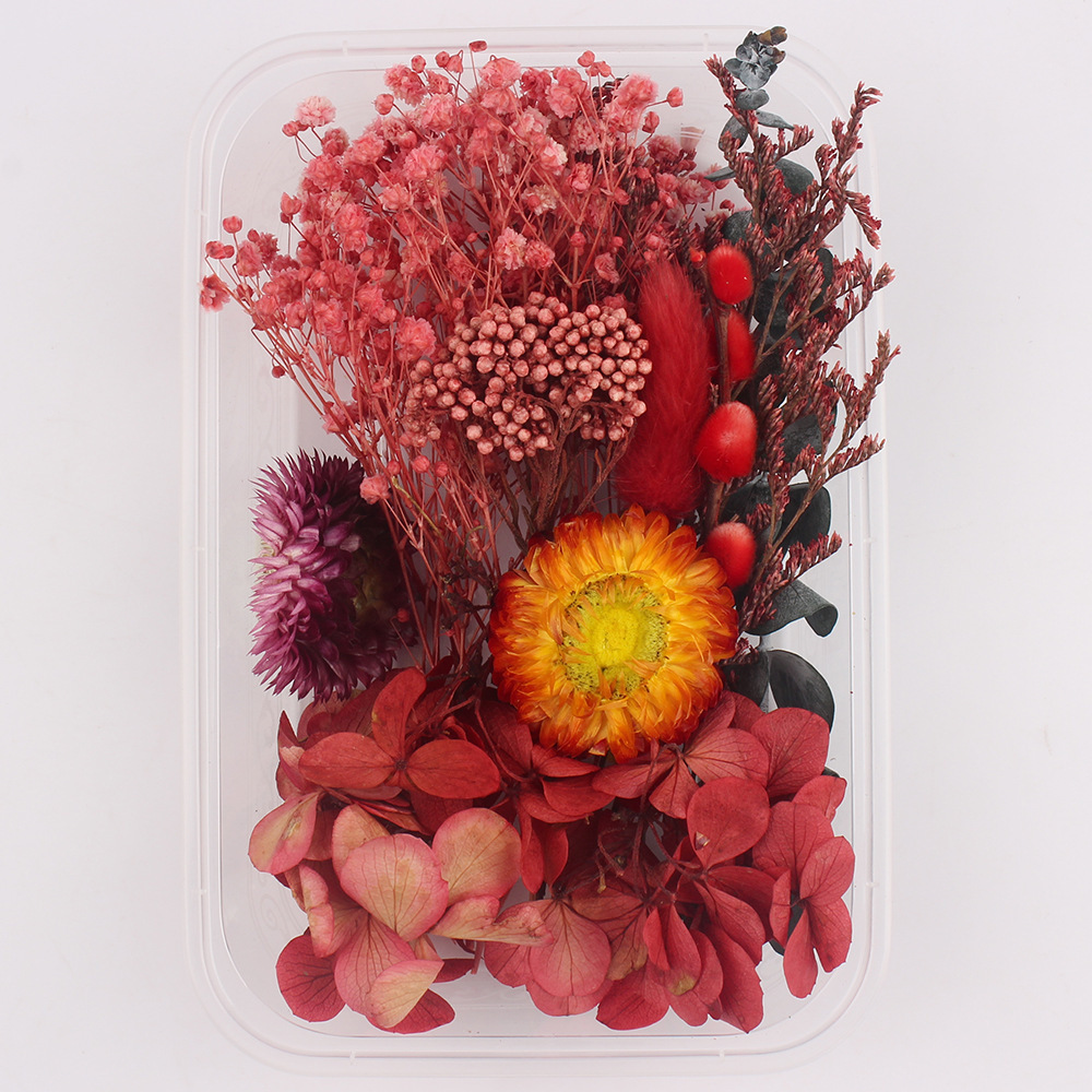 Flores secas preservadas hechas a mano, marco de fotos DIY, decoración mixta, materiales de aromaterapia, flores naturales, ramo de regalo para boda, San Valentín