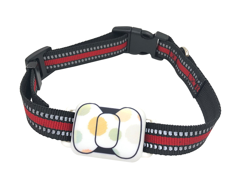 황록색 원형 + GPS 위치 추적 + 방수