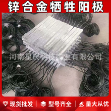 ZP-3\ϽꖘO  A\ꖘO ZP-2\ꖘO