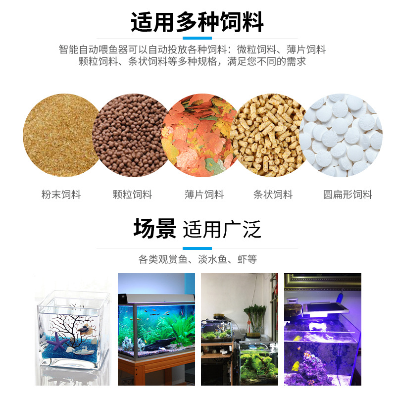 ԶιʳʱιС͹ϺĩСͶʳ