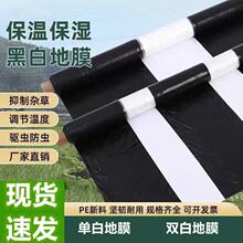 ڰ׵Ĥr÷Nֲ׼ӺlϱĤݷN