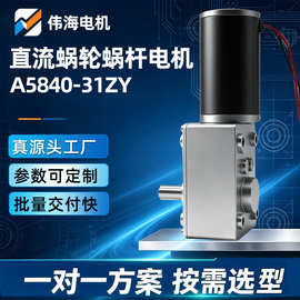 A5840-31ZY涡轮蜗杆减速电机机器人驱动马达12V开窗器 24V自锁电