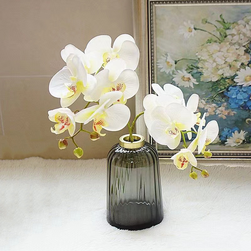 6-cabeza Phalaenopsis 3D-pure blanco RW-4