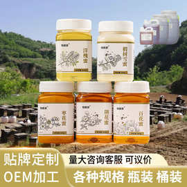 蜂蜜纯正天然土蜂蜜批发百花蜂蜜大桶装椴树蜜原料1.5-75kg洋槐蜜