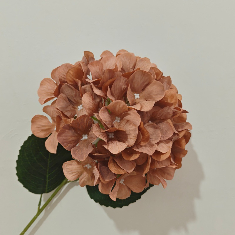 업그레이드된 3D 프린팅 모델 커피 컬러