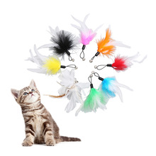 宠物用品猫咪玩具逗猫棒彩色羽毛替换头互动DIY钓猫杆工厂现货