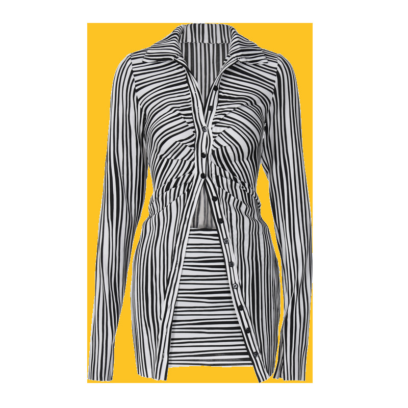 Chic Zebra Print Set