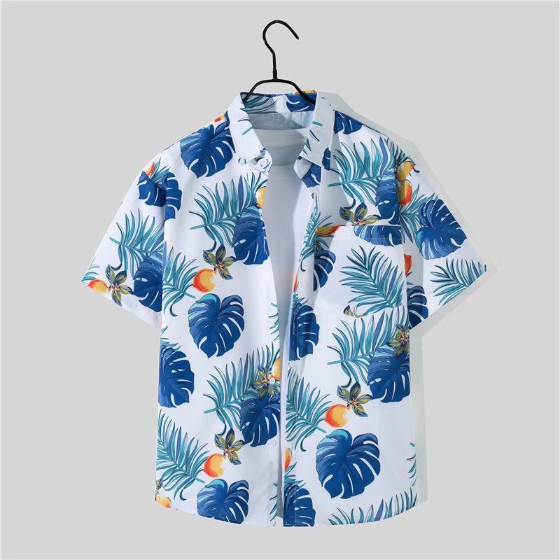 T1003 화이트 [[싱글셔츠