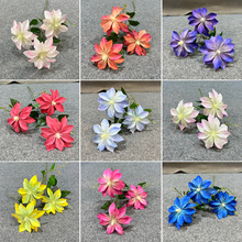 ��c����3D�F��ɏ��Y�ñ����bٻ���������ܛ�b����