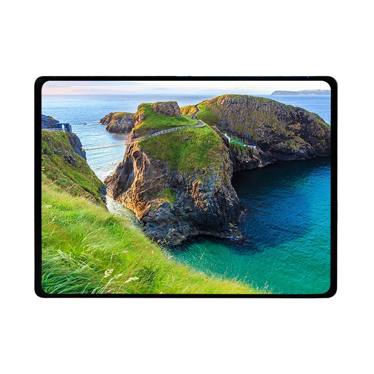 EB00QBC73.A Hehui 11-inch am oled display 1728*2368 mipi interface capacitive touch screen