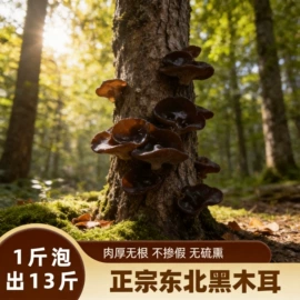 其他干货;黑木耳;杂粮组合