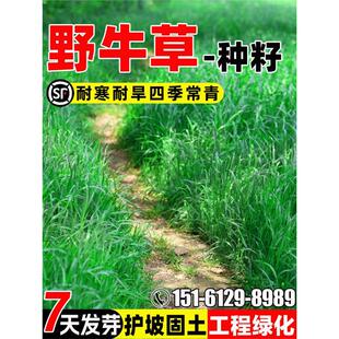 Ұţ�ݷN���ļ������o�¹������Ѷ������ͺ��ͺ����̾G����ƺ�N��