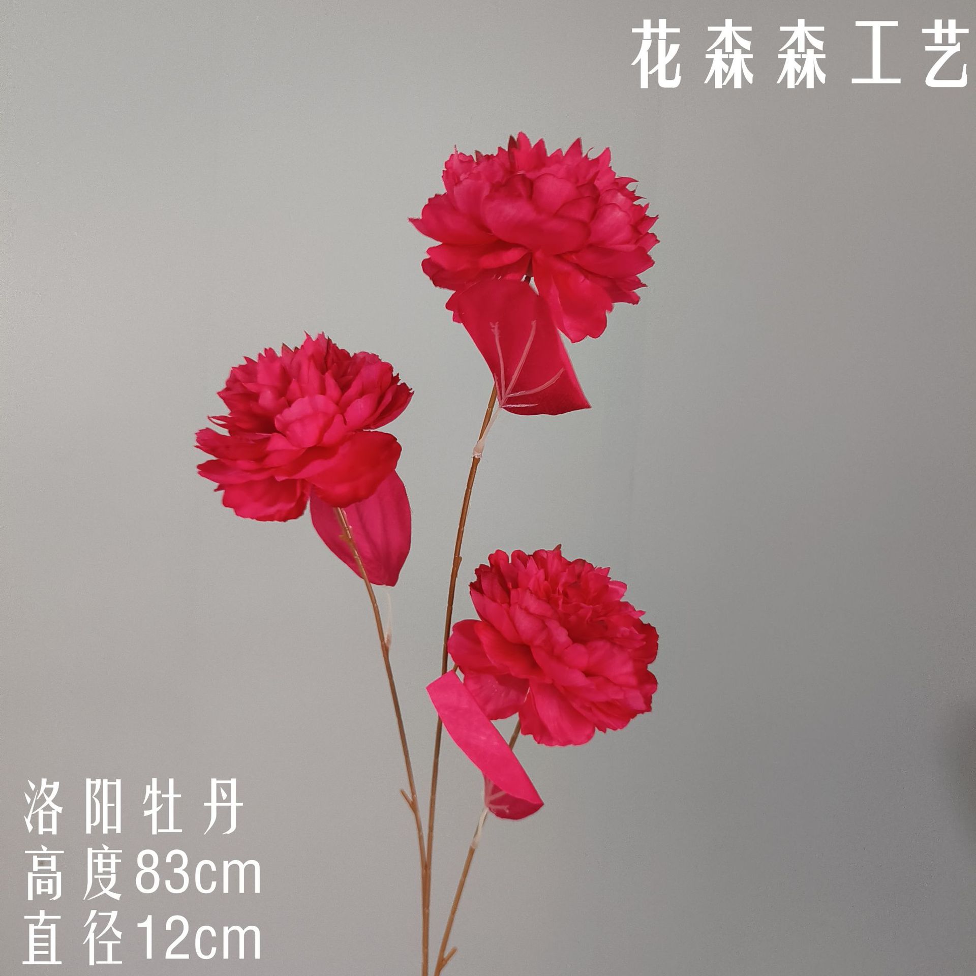 낙양 모란 181050