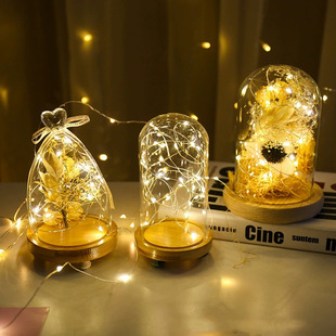 �~��늳غП�LED�~�z�����r���Y�П��๦��С�ʟ��羳���՟���