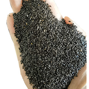 Supply of lavender seeds, French blue variety. Xinjiang 65 regiments, narrow-leaf lavender, high quality and plump