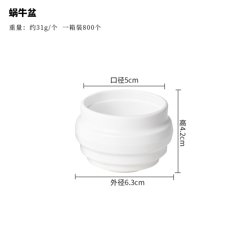 Bacia de caracol 6,3*4,2*5cm
