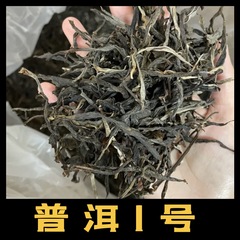 プーアル生茶散茶500g茶農卸売りモウ庫アイスランド甘い古樹茶葉雲南大葉種日焼け青毛茶