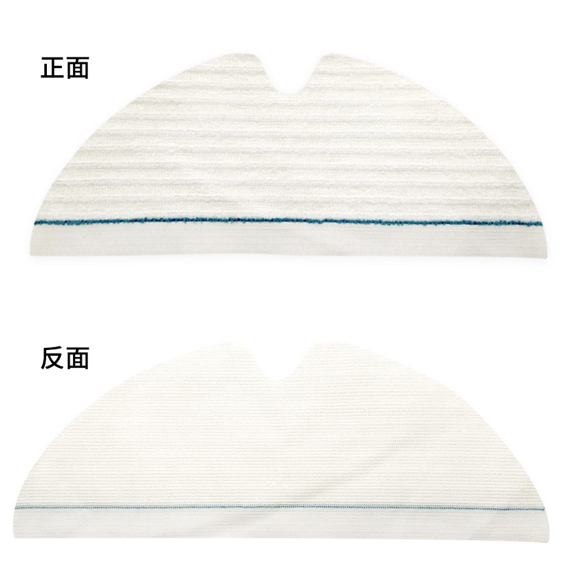 화이트