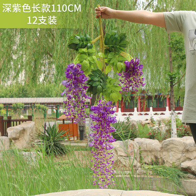 Ordinario largo-púrpura oscuro