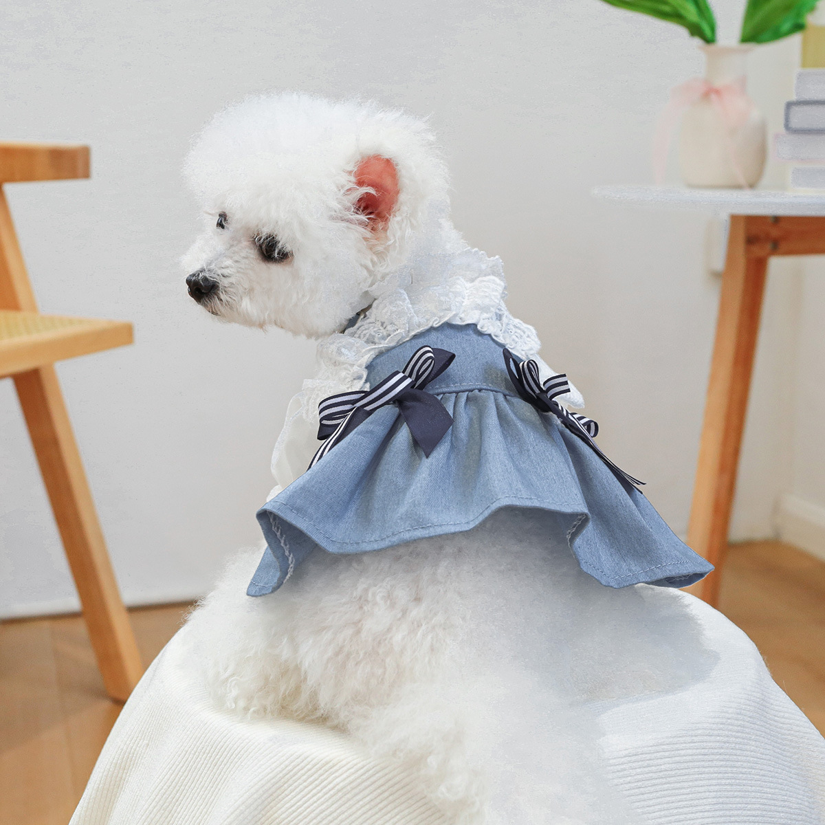 PETCIRCLE 애완동물 의류 강아지 고양이 의상 봄 가을 바닷바람 휴일 데님 스커트