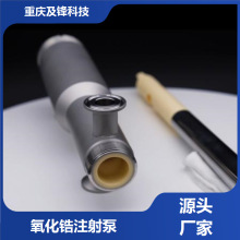 陶瓷柱塞式泵 高精度無閥泵 耐腐蝕性材料 來圖來樣開發 現貨充足