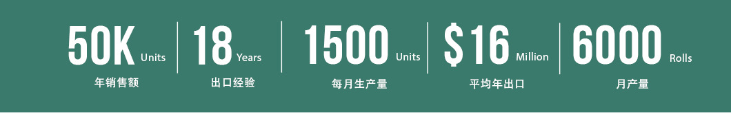 公司历程板块-中文_02