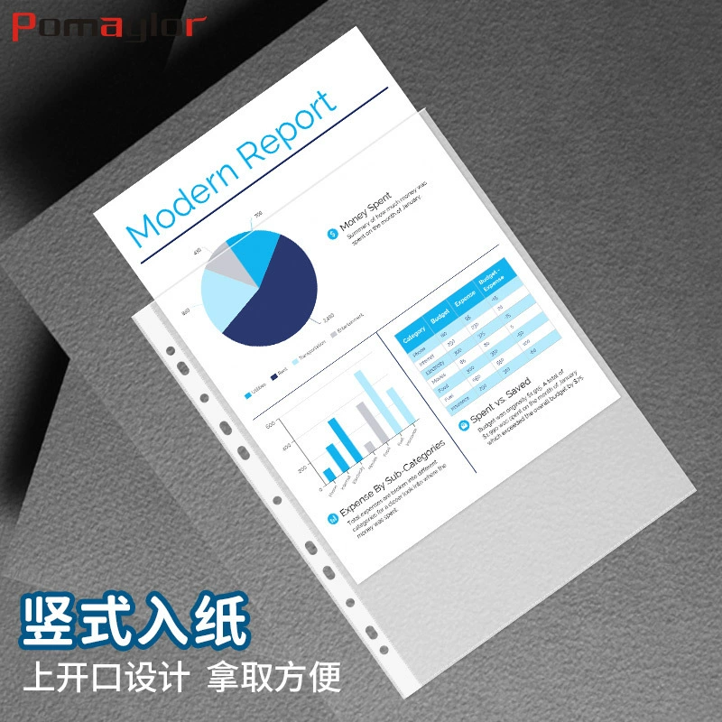 Plastic transparent folder for folders, set for documents