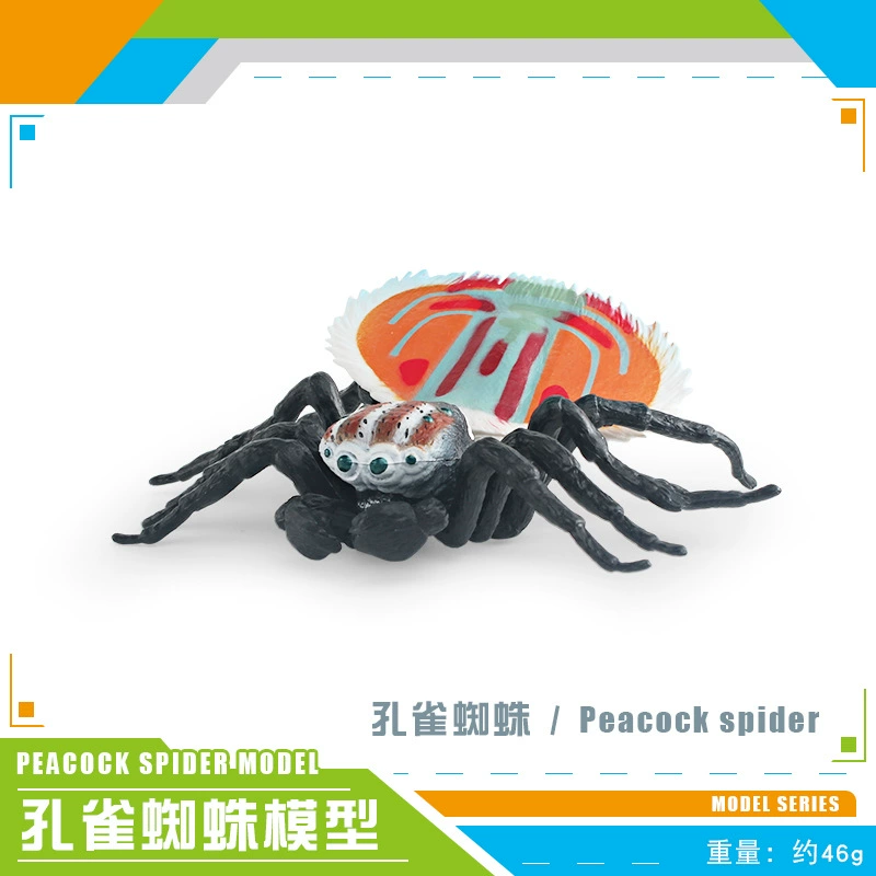 Cross -border hot selling simulation wild insect animal spider model gray -blue poison spider big spider spider tideline static ornaments