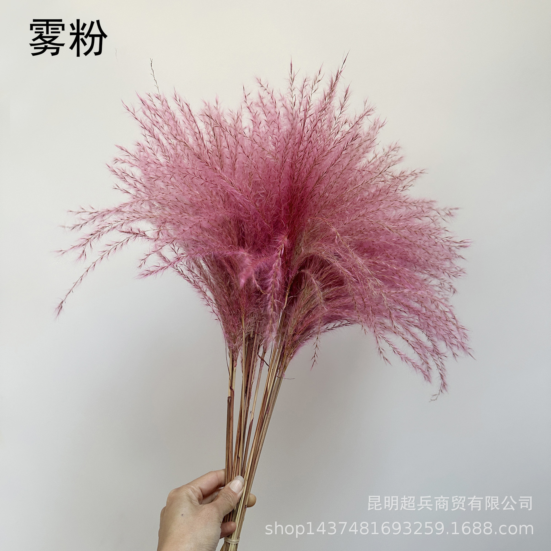 微信图片_20250310133814.jpg