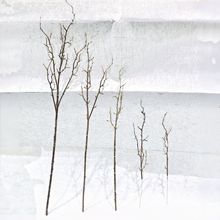 ��������֦��֦�U�����F�zʯ��֦����๦�ܿ͏d�廨�b��Ĕz�[��