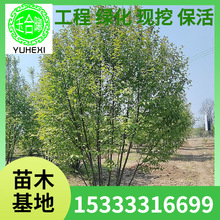  6-12֦l5-8ז|ԻطNֲ@־^G