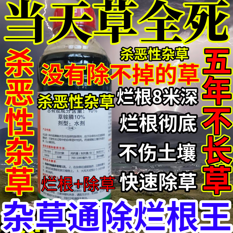 当天草全死精草铵膦铵盐果园菜园烂根小飞蓬耕地强效除草剂烂根王