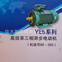 ľ˹늙C YE5-250 Чஐ늄әC