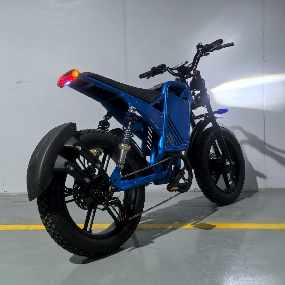K15 Electric Assist Bicycle Dual Motor EBiK Electric Assist Bike Dual Shock Absorber Dual Drive Motor Electric Vehicle