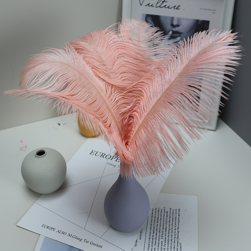 Plumas de avestruz bodas blancas de avestruz guía de plumas accesorios de fotos adornos rojo rosado en línea grandes plumas decoración