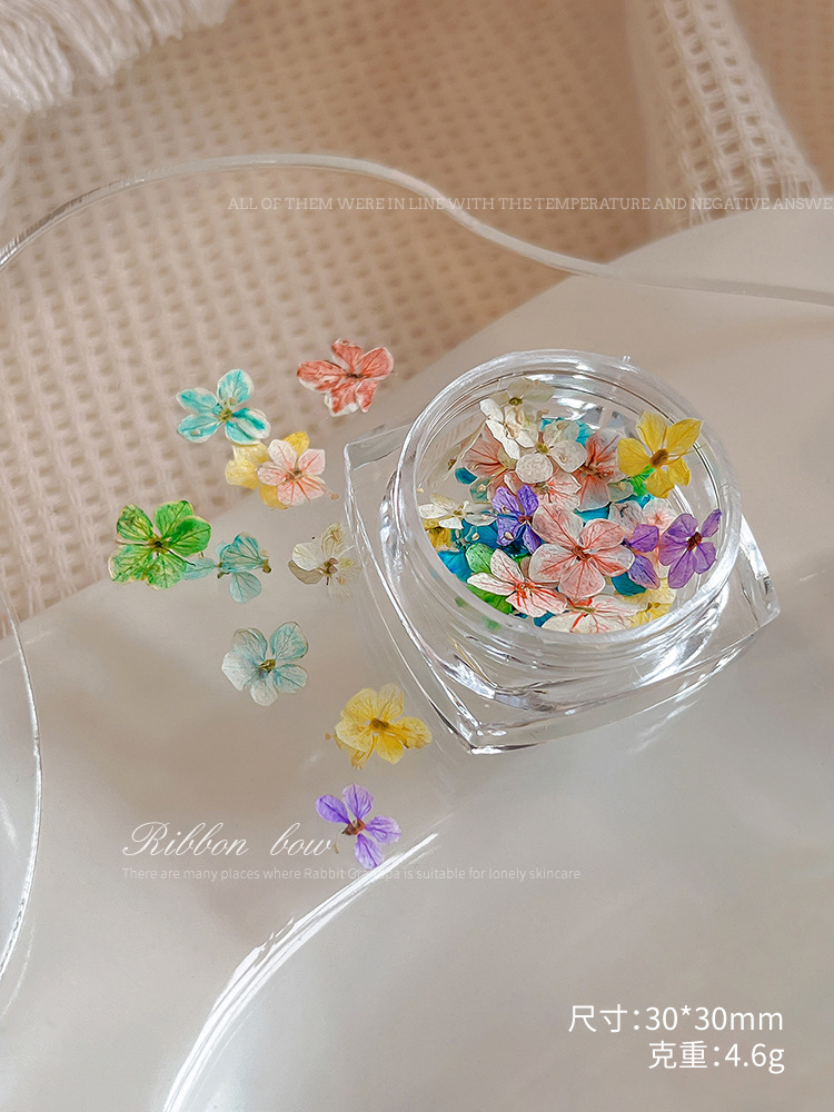 단일 색상 드라이 플라워#07