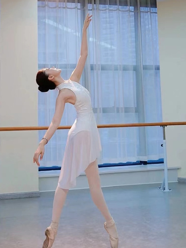 Stretch mesh large beveled ballet skirt for adult women gymnastics clothing dance practice clothing gauze skirt skirt one piece drop shipping