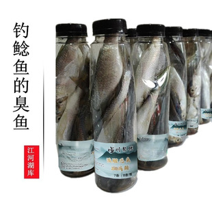 ��T�~�ĳ��~���F�~�DҰ឴���T�����T���X�ȳ��D�Ͻ��Ӻ������