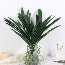 �����f���m�~�����  �ߙn�ָл�ֲ����� ����Gֲ ��c�Ҿ��b�