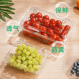 生鲜水果包装;一次性餐盒;化妆品包装